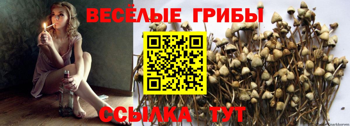 Галлюциногенные грибы MAGIC MUSHROOMS Нижневартовск